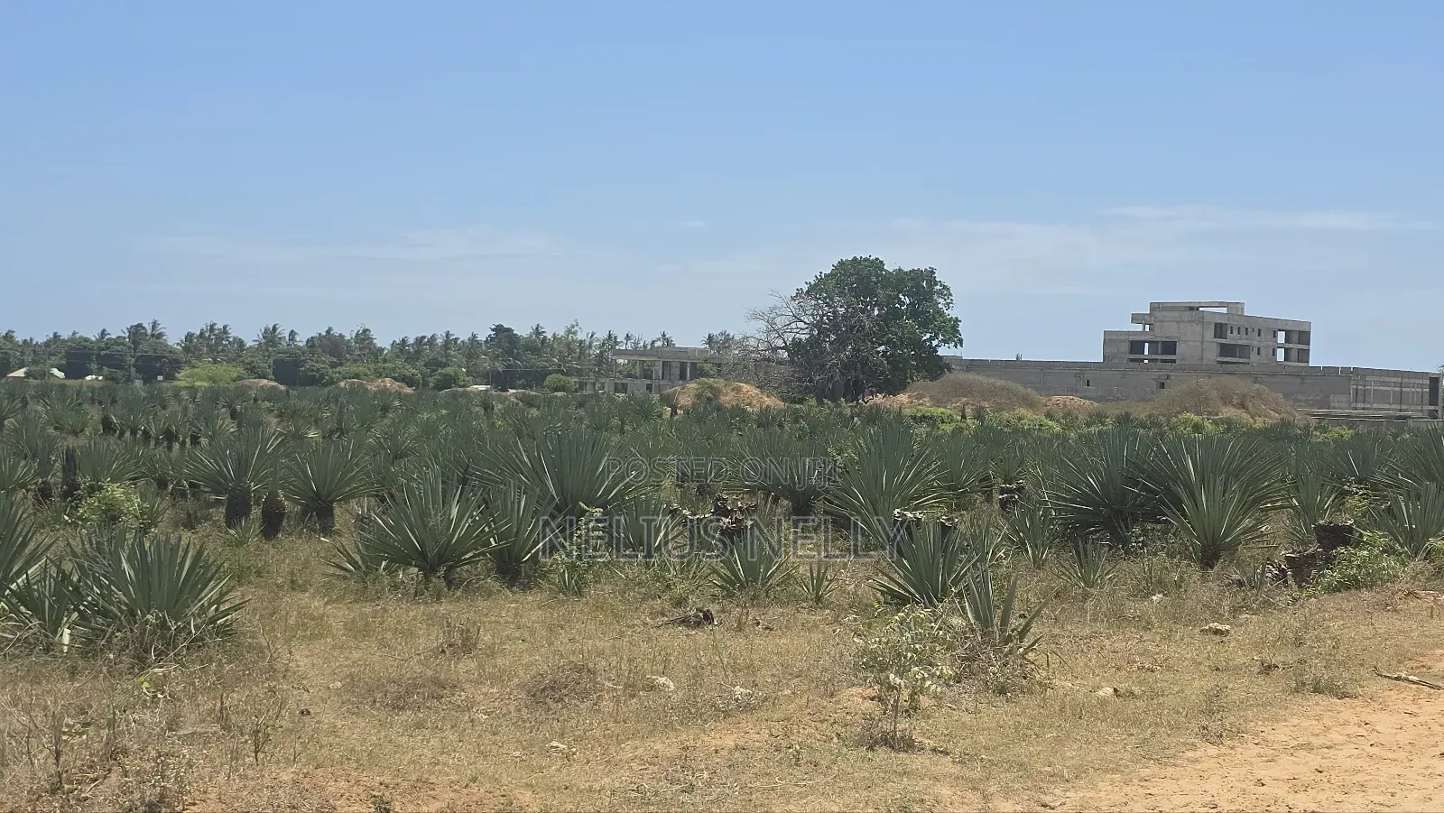 1acres Commercial Land Vipingo for Sale