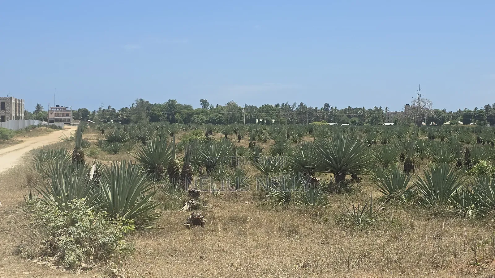 1acres Commercial Land Vipingo for Sale