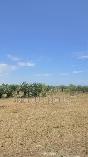 1acres Commercial Land Vipingo for Sale