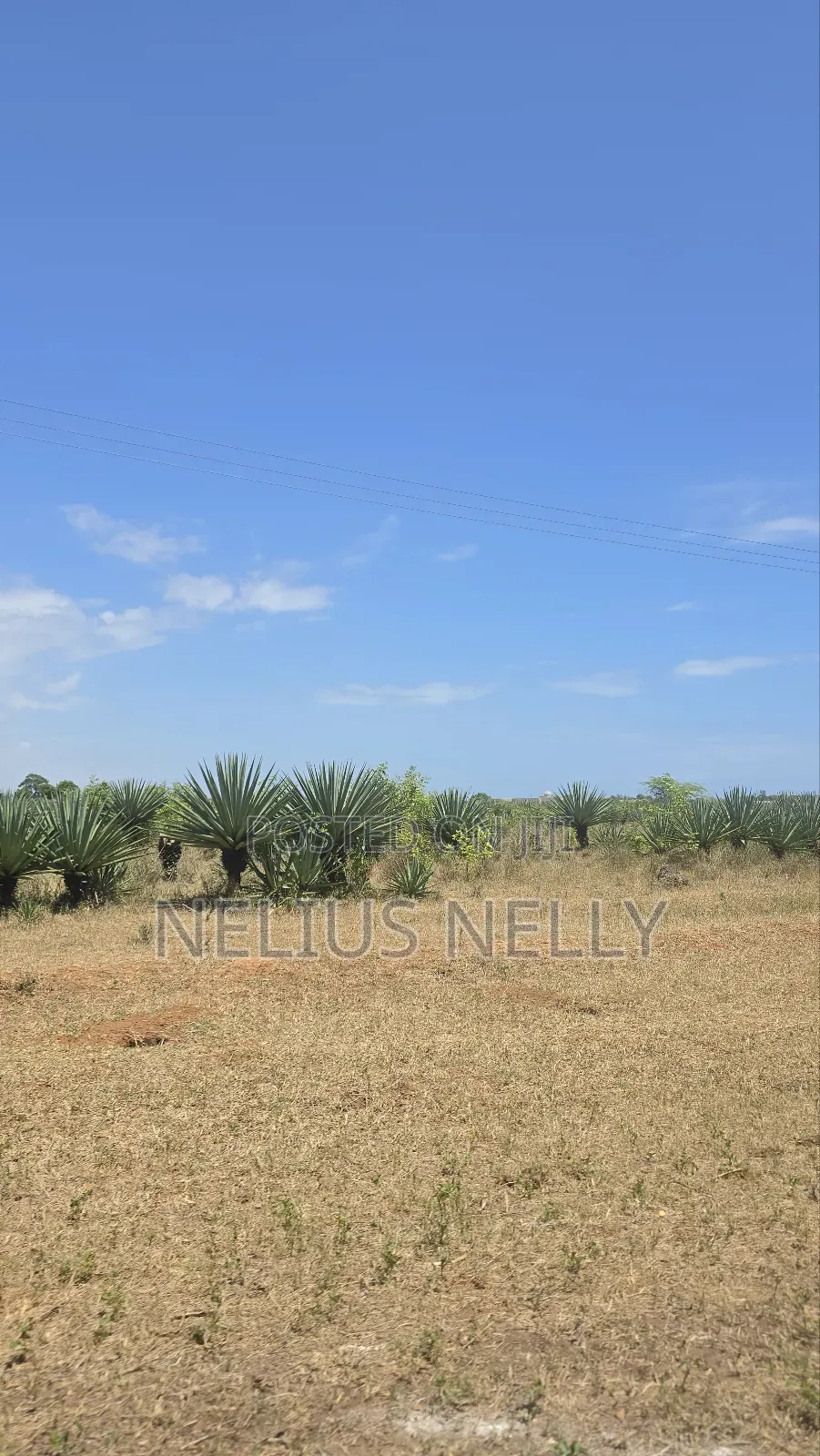 1acres Commercial Land Vipingo for Sale