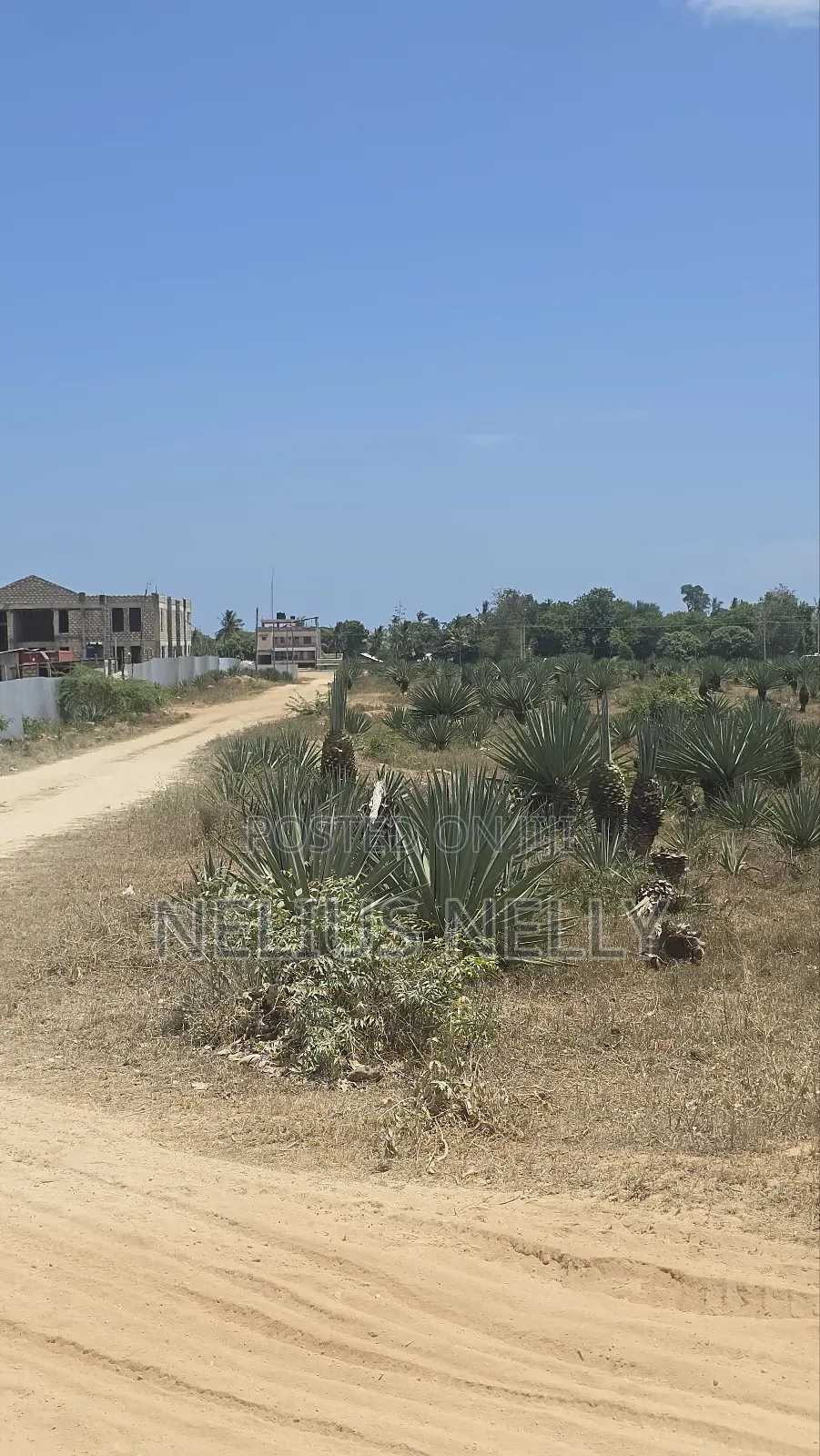 1acres Commercial Land Vipingo for Sale