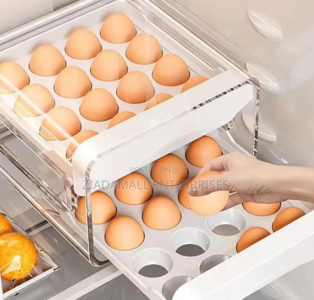 Maximize Refrigerator Space With the Double Layered Egg Storage Tray
