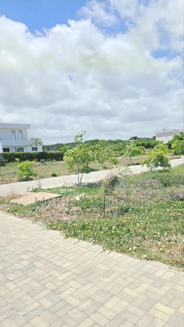 Prime 50x100ft Plots for Sale in Kilifi Vipingo - thumbnail 4