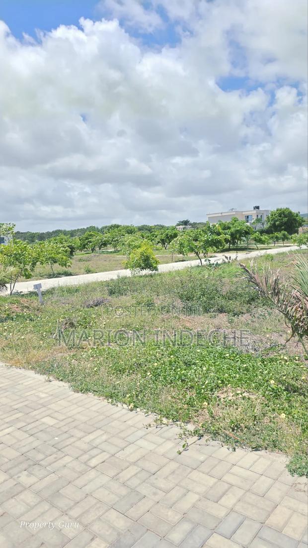 Prime 50x100ft Plots for Sale in Kilifi Vipingo - thumbnail 5