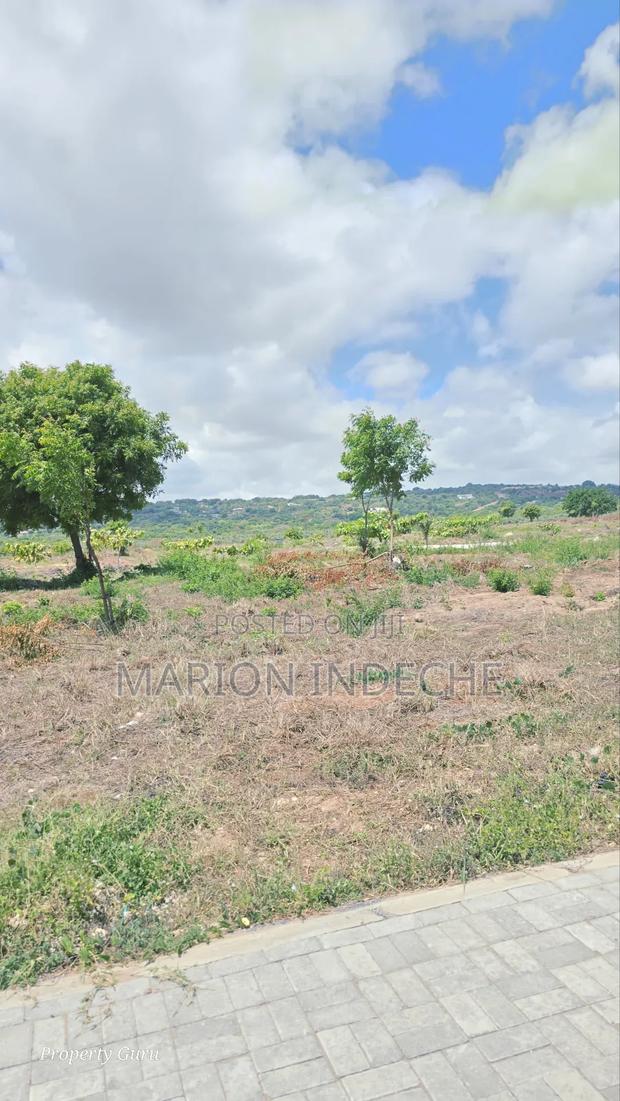 Prime 50x100ft Plots for Sale in Kilifi Vipingo - thumbnail 8