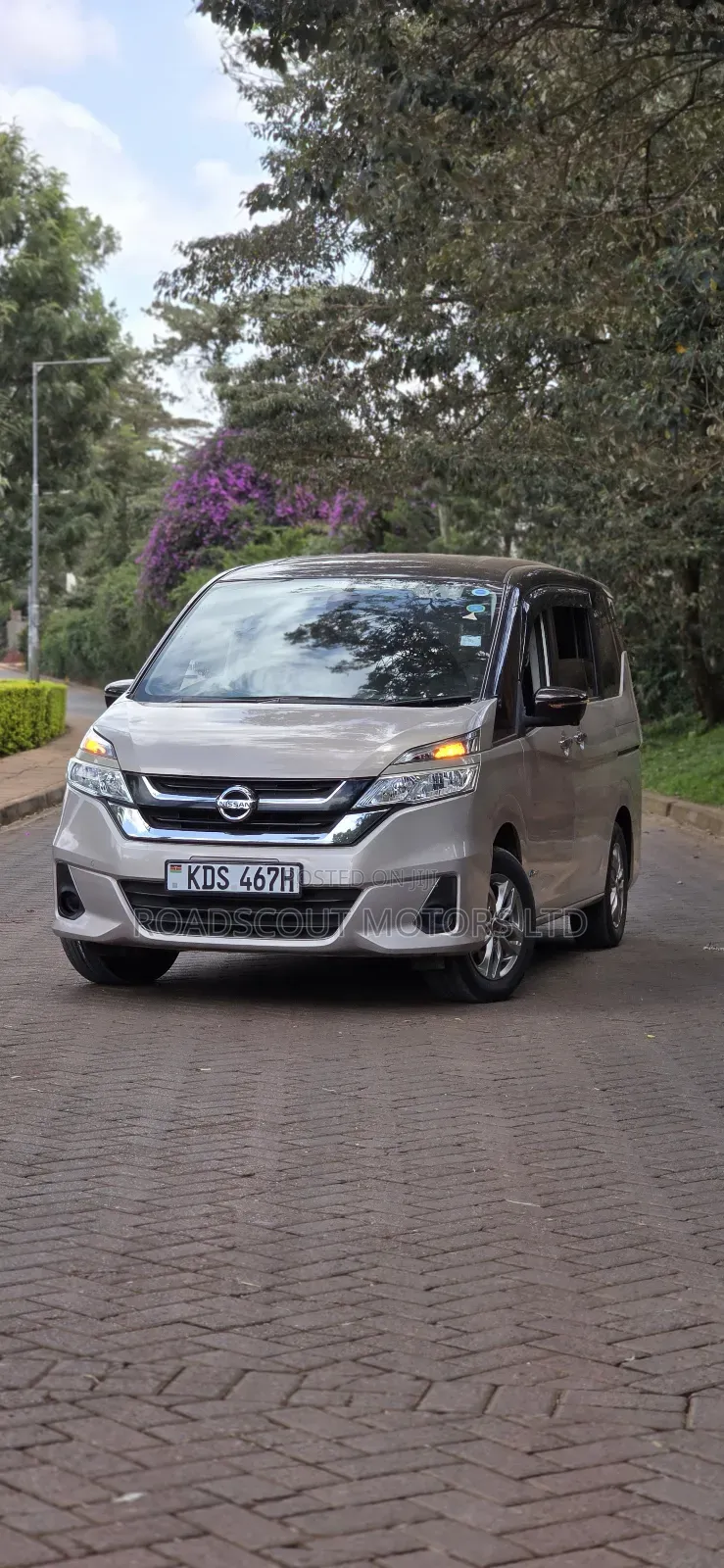 Nissan Serena 2017 Brown