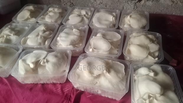 Oyester Button Mushrooms - main view