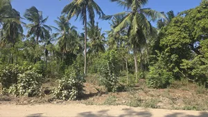 2acres for Sale Tezo Kilifi