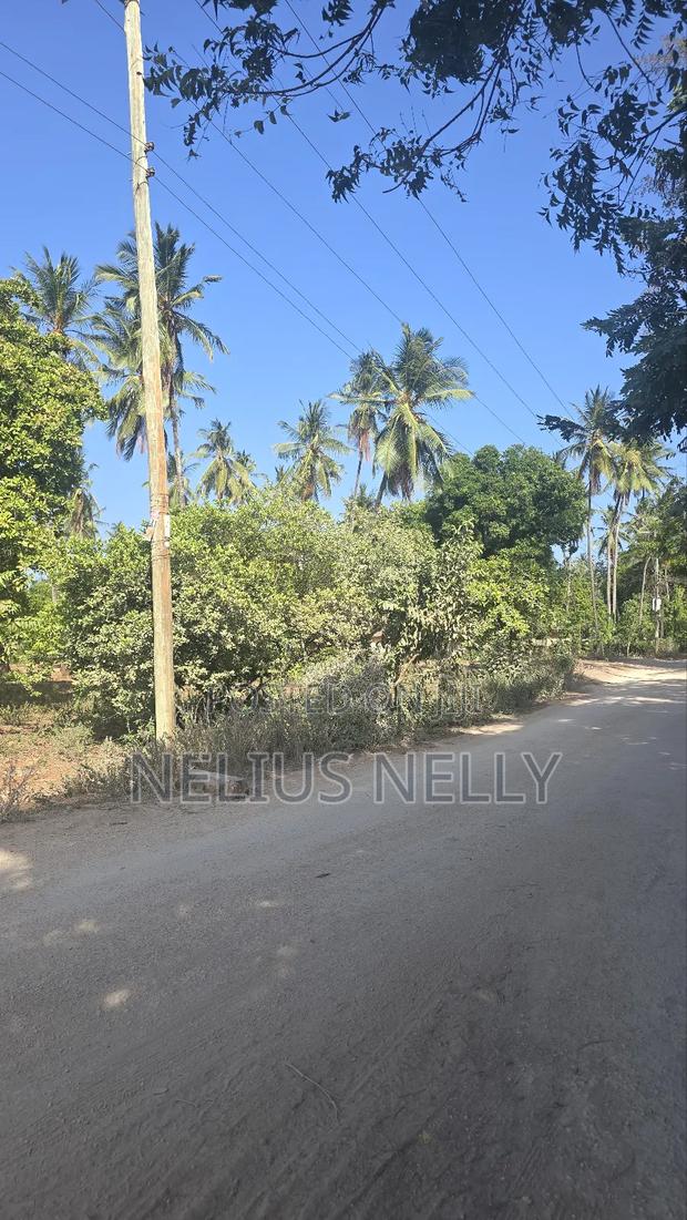 2acres for Sale Tezo Kilifi - thumbnail 5