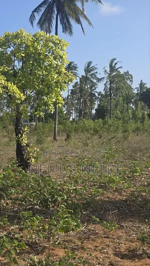 1acre Tezo Kokotoni