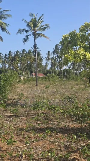 1acre Tezo Kokotoni