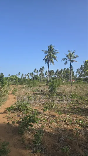 1acre Tezo Kokotoni