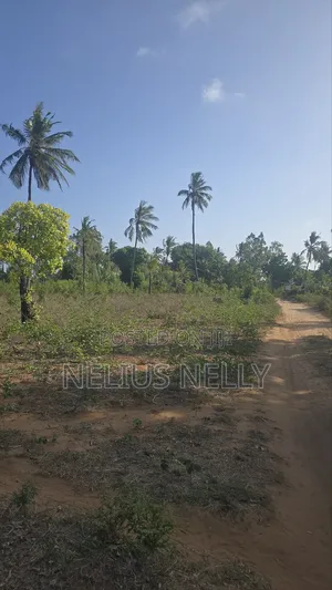 1acre Tezo Kokotoni