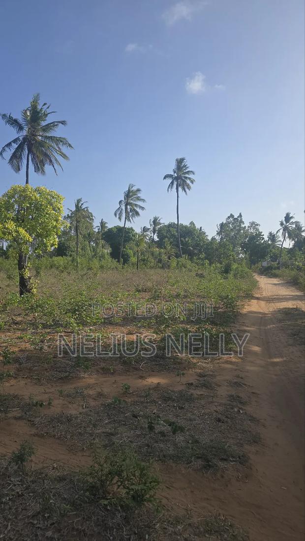 1acre Tezo Kokotoni - thumbnail 5