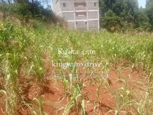 Plot for Sale in Ruaka