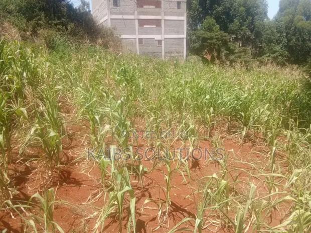Plot for Sale in Ruaka - thumbnail 3