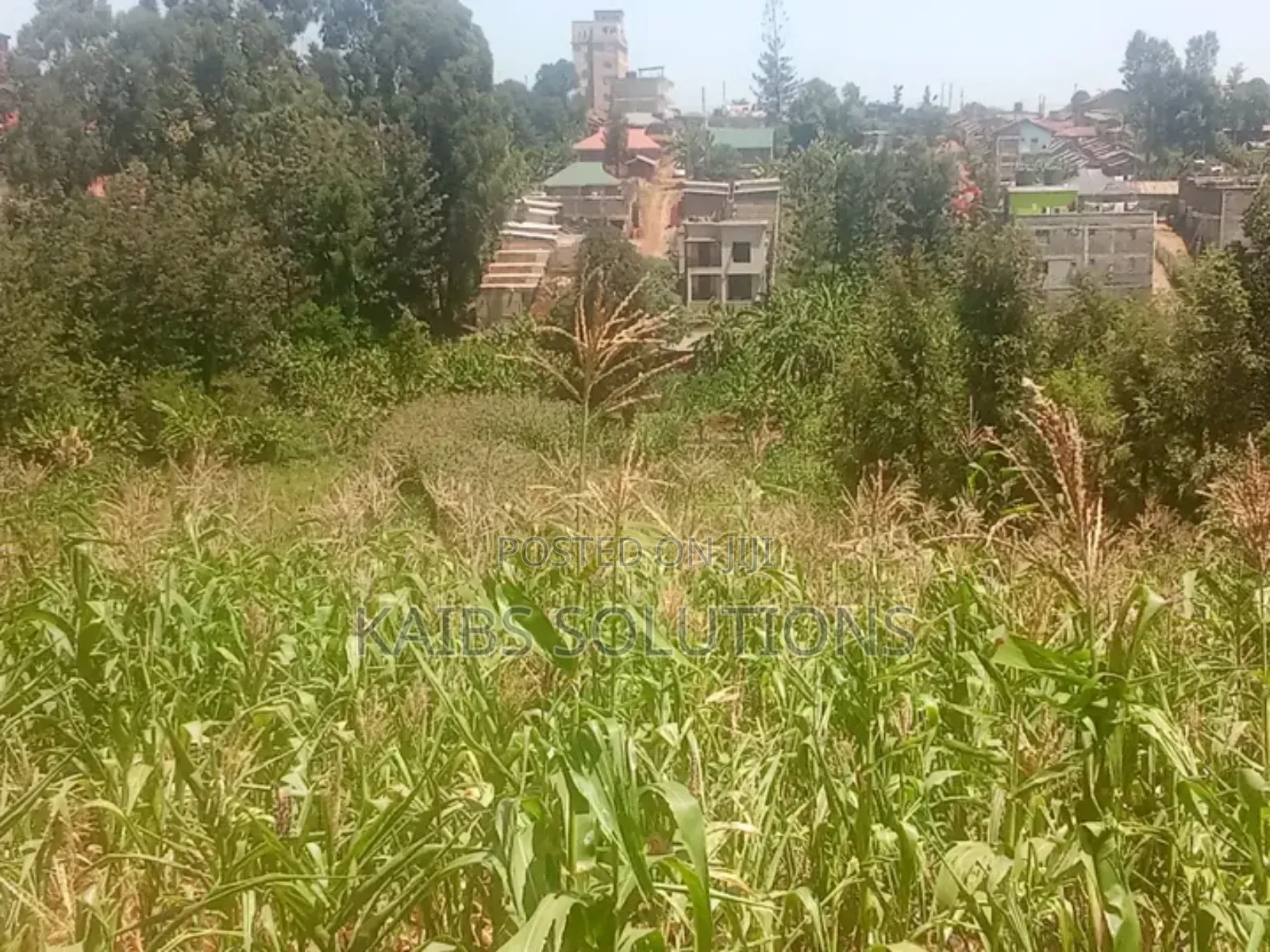 Plot for Sale in Ruaka