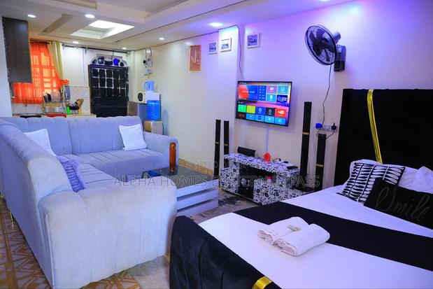 New Studio Apartment Kamakis Ruiru Eastern Bypass - thumbnail 3