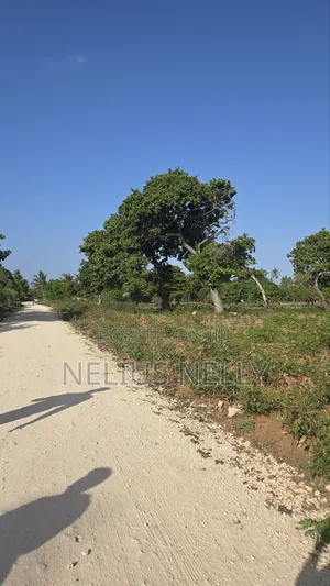 3.5acres for Sale Kituoni Kilifi Before Tezo Town