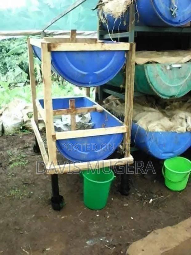 Red Worms Vermicomposting Bins for Earthworms Break Down Organic Waste