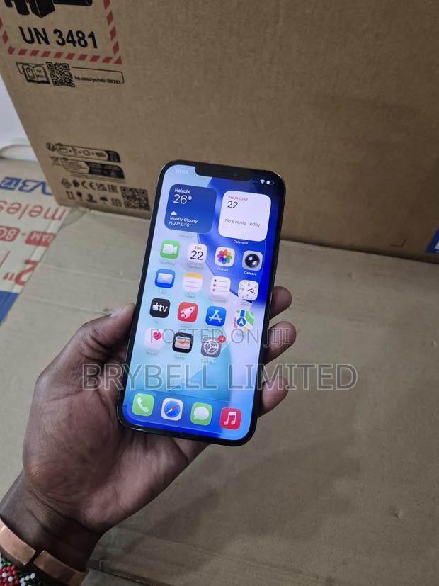 Apple iPhone 12 Pro Max 256 GB Blue - thumbnail 3