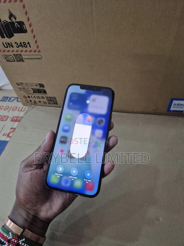 Apple iPhone 12 Pro Max 256 GB Blue - thumbnail 5