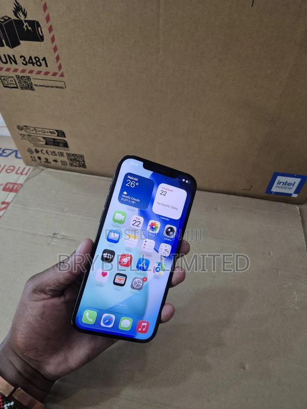 Apple iPhone 12 Pro Max 256 GB Blue - thumbnail 10