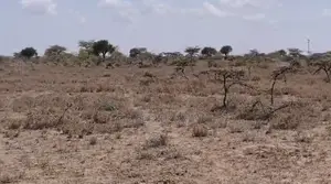 10 Acres Livestock Land for Sale – Loita Plains (Near Oldoinyo Orasha)