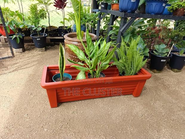 100cm Rectangular Flower Planter