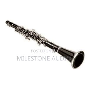 Clarinet in Kenya - thumbnail 2