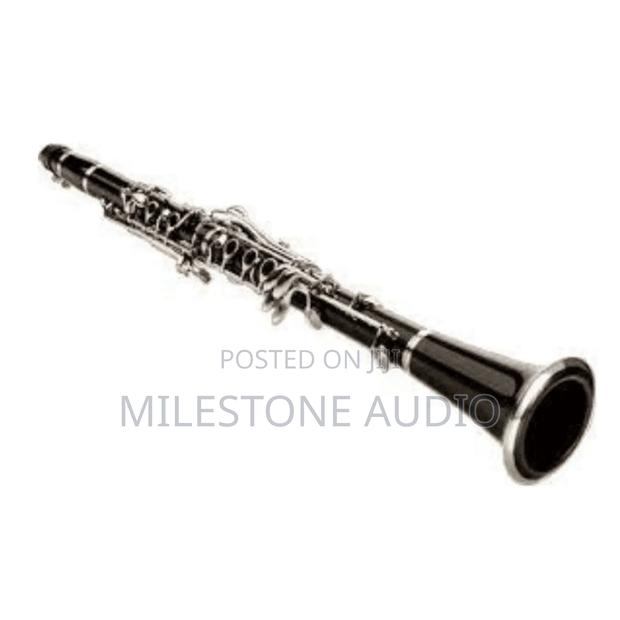 Clarinet in Kenya - main view