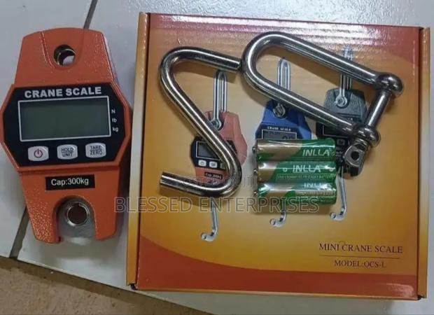 300lg Mini Crane Scale Weighing Machine/Crane Scale 300,