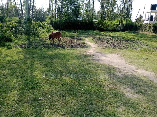 Land for Sale in Kibos Measuring 0.04ha - thumbnail 11