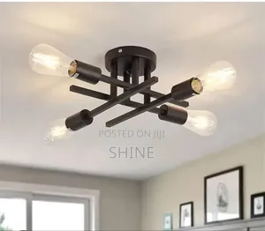 Modern Ceiling Light