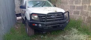 Font Bullbar Triple Loop
