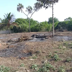 1/4 Acre Near Mekaela School Diani
