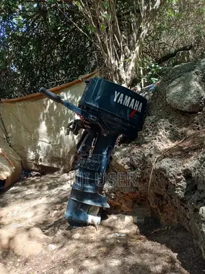 25 Hp Yamaha Outboard Engine for Sale