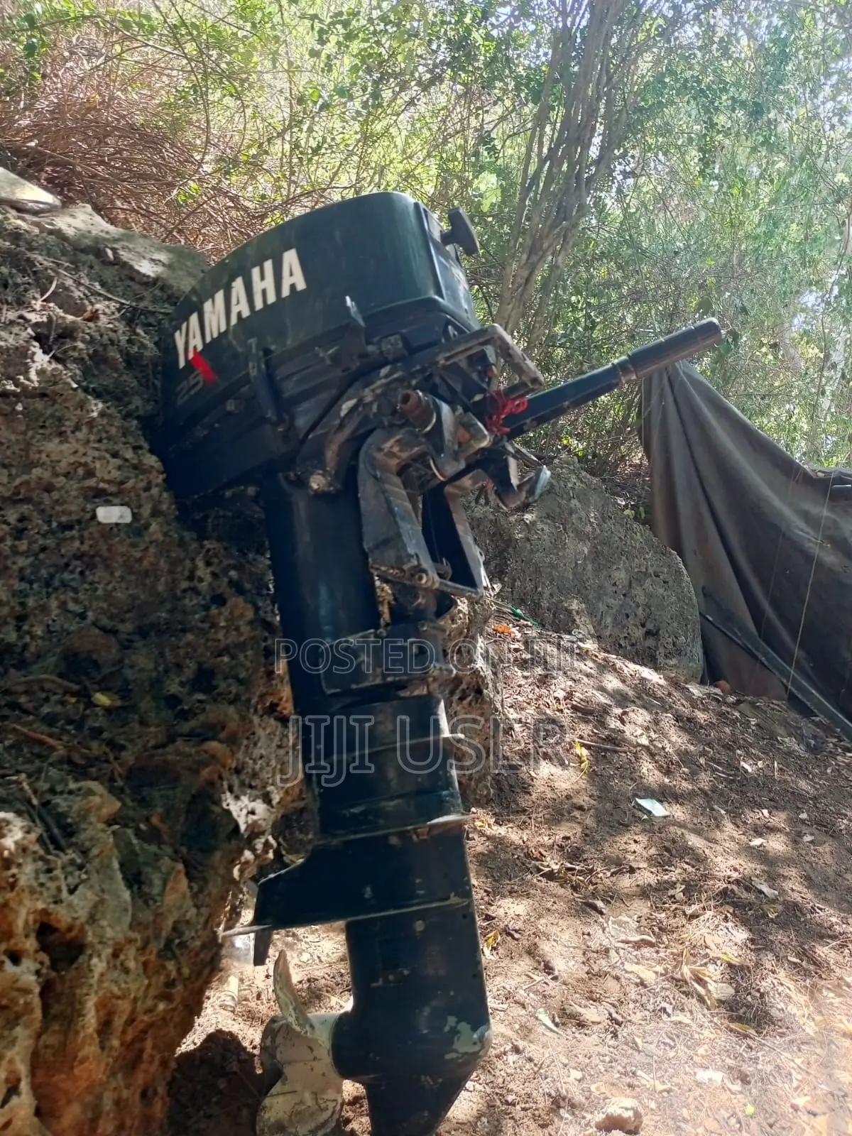 25 Hp Yamaha Outboard Engine for Sale