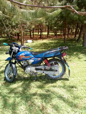 TVS HLX Plus ES 2023 Blue