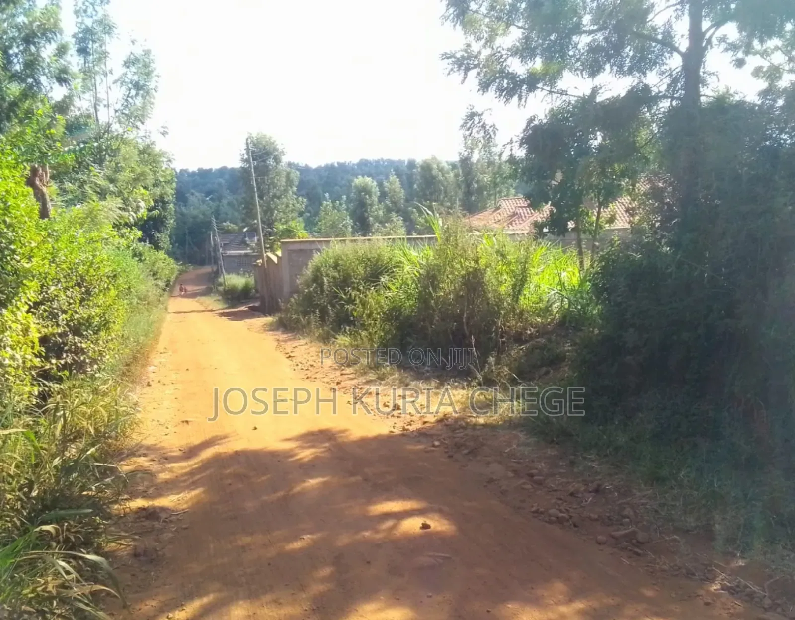 Plot 100×100 Kihingo, Kiambu