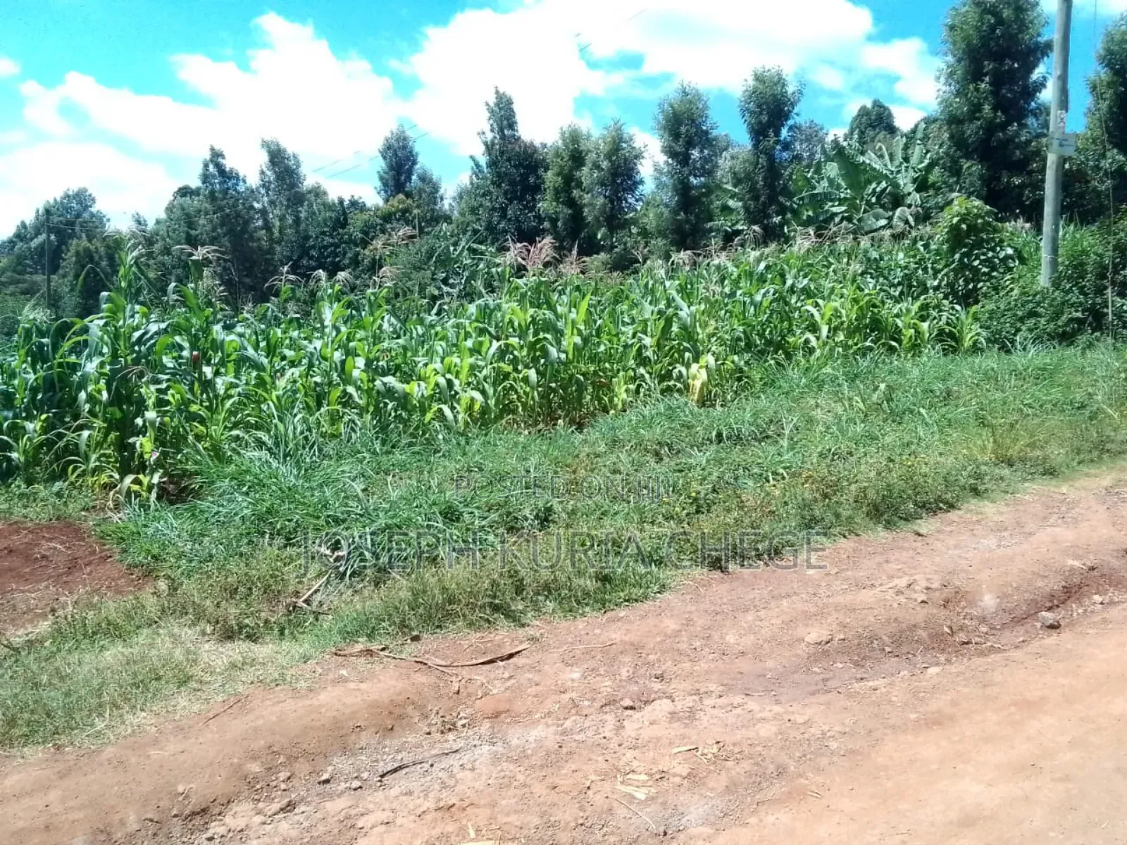 Plot 100×100 Kihingo, Kiambu