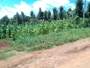Plot 100×100 Kihingo, Kiambu