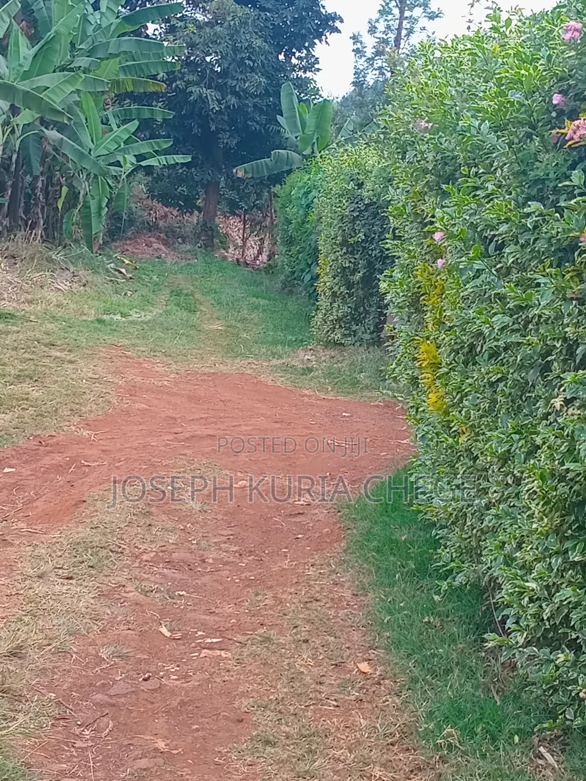 Plot 100×100 Kihingo, Kiambu