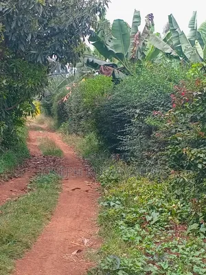 Plot 100×100 Kihingo, Kiambu