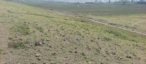 Plot for Sale 1/8th Acre (50 * 100) - thumbnail 2