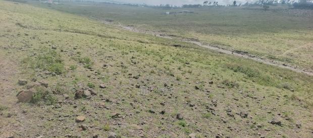 Plot for Sale 1/8th Acre (50 * 100) - main view