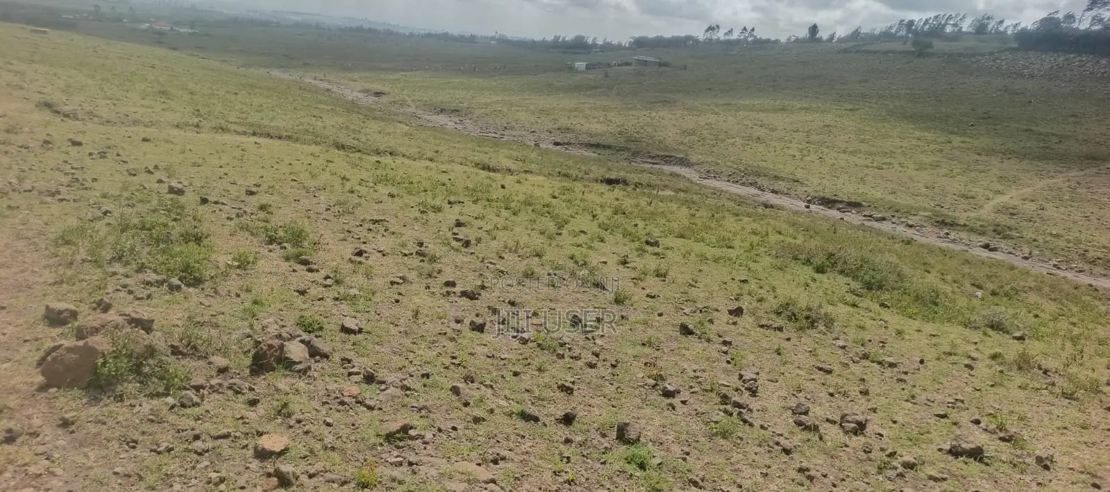 Plot for Sale 1/8th Acre (50 * 100)