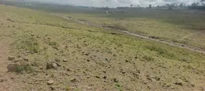 Plot for Sale 1/8th Acre (50 * 100)