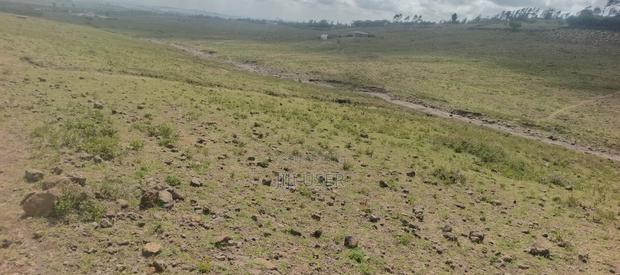 Plot for Sale 1/8th Acre (50 * 100) - thumbnail 4