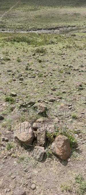 Plot for Sale 1/8th Acre (50 * 100)